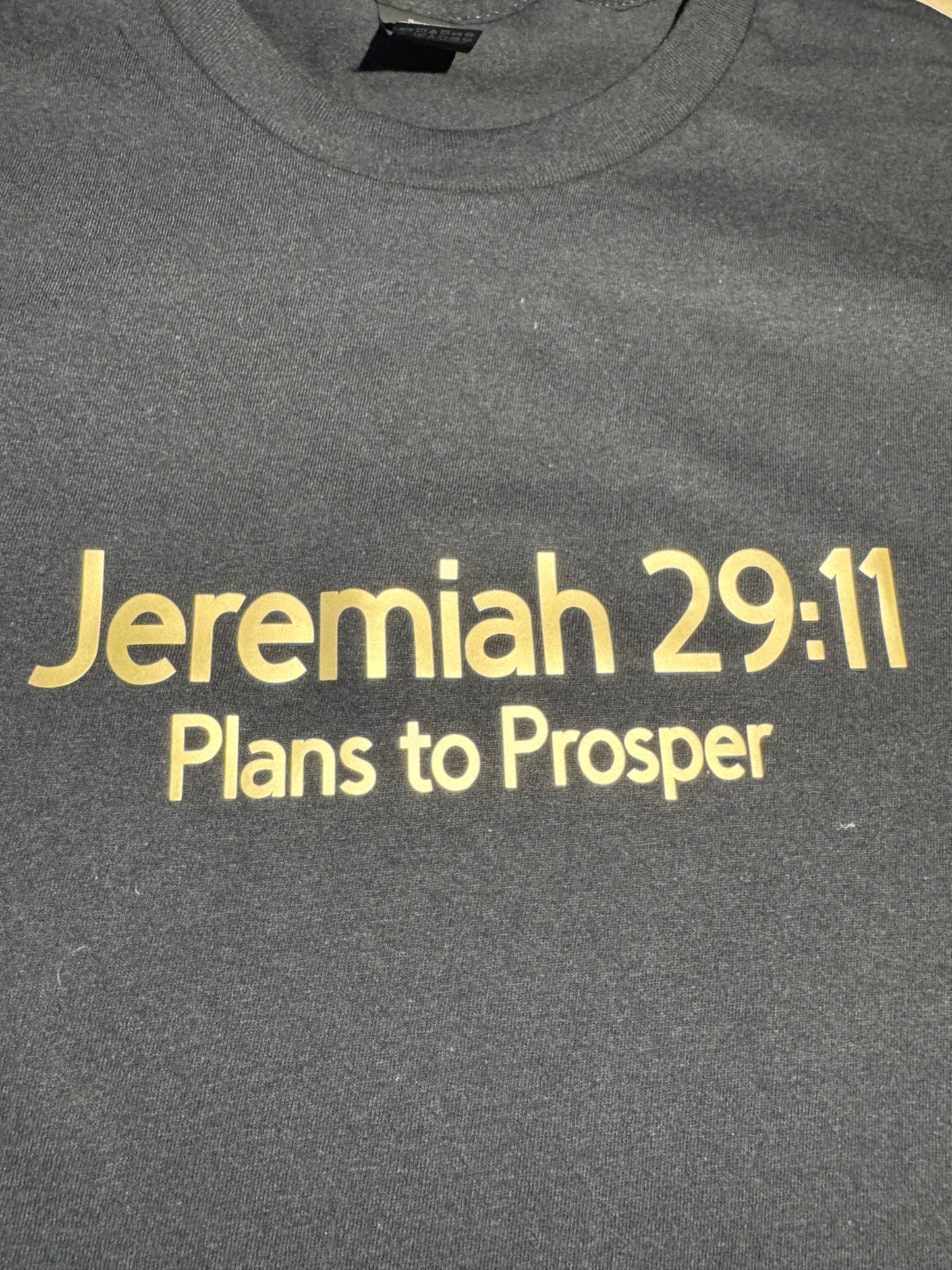 Short Sleeve Jeremiah 29:11 Shirt