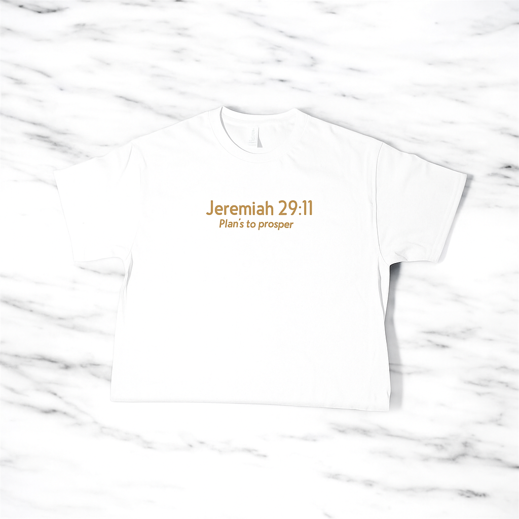 Short Sleeve Jeremiah 29:11 Shirt